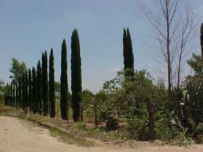 TERRENOS CAMPESTRES - CADEREYTA - Nuevo Leon., Mexico - a la orilla del Rio Ramos ..........................................................................&&nbsp; Worldwide